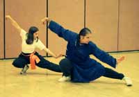 Buddha Zhen teaching since 1984